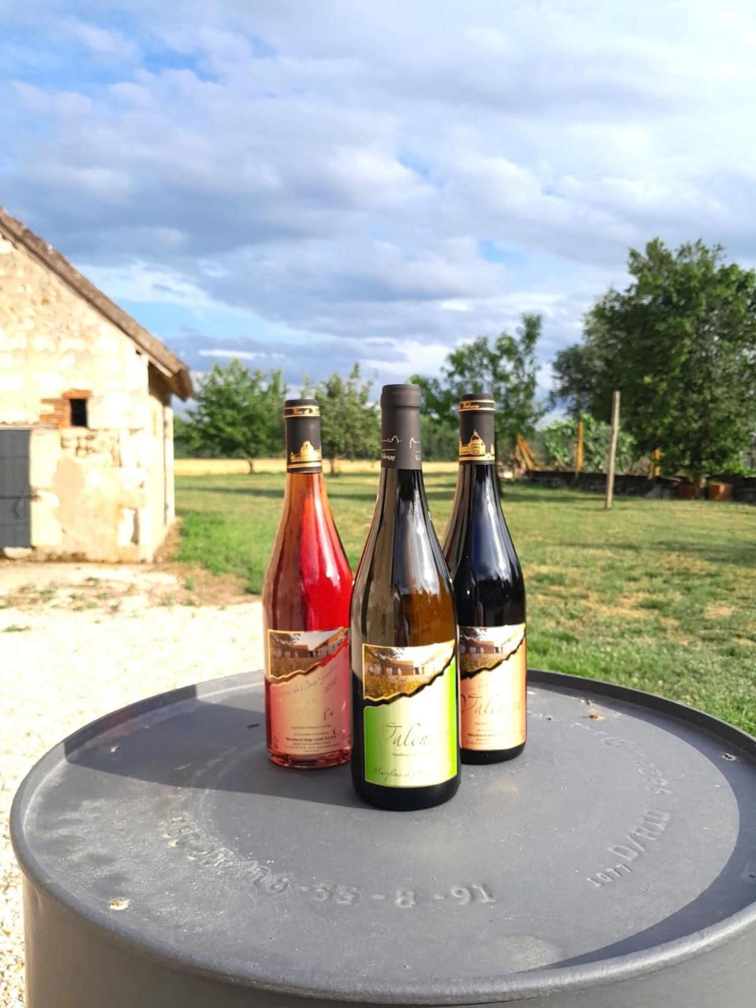 Coco 9 Personnes Jardin Proche Beauval *